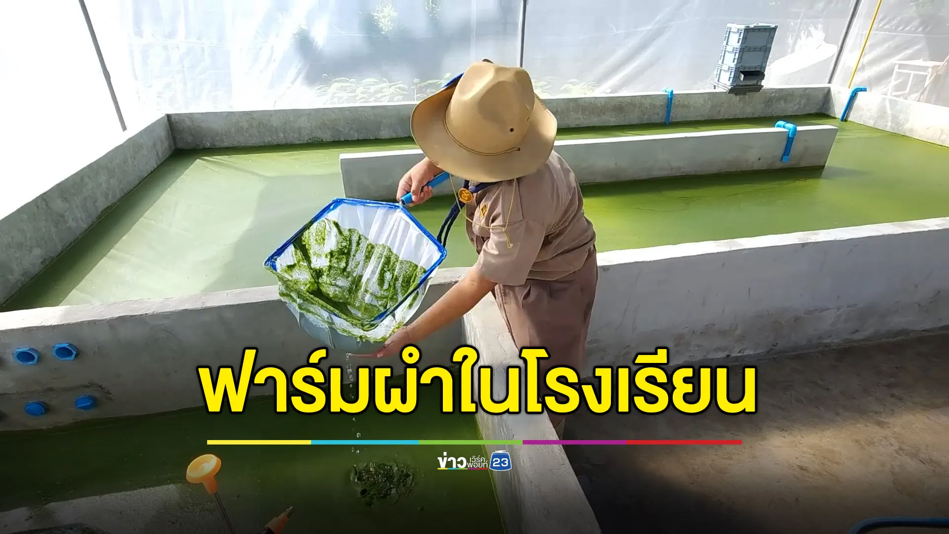 ไอเดียดีทำฟาร์ม “ผำ” ที่โรงเรียน เสริมโปรตีนให้ นร.-สร้างรายได้