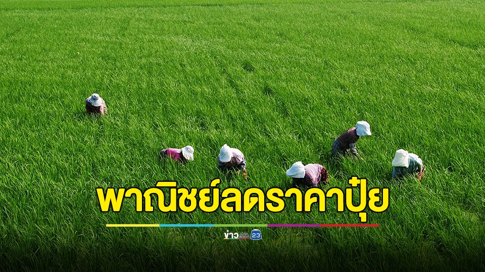 รัฐบาล เผย “พาณิชย์ลดราคาปุ๋ยเพื่อเกษตรกร ปี 2568”