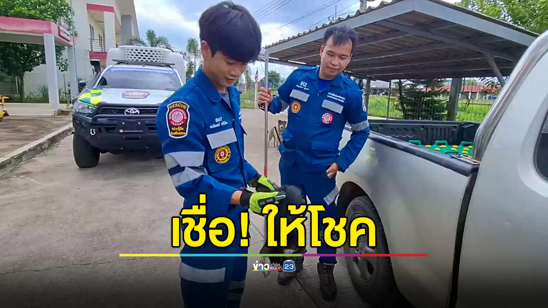 ลูกแมวเกาะท้องรถ ไกล240 กม.เชื่อมาให้โชค เจ้าหน้าที่ใจบุญรับเลี้ยงไว้