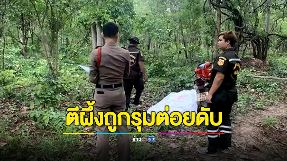 อุทาหรณ์! นายพรานตีผึ้งถูกรุมต่อยเสียชีวิตกลางป่า
