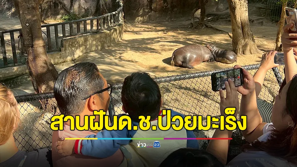 สานฝัน! เด็กชายวัย 6 ขวบป่วยเป็นมะเร็งระยะสุดท้าย อยากมาดูหมูเด้งเป็นครั้งสุดท้ายของชีวิต ก่อนสานฝันให้เป็นจริง