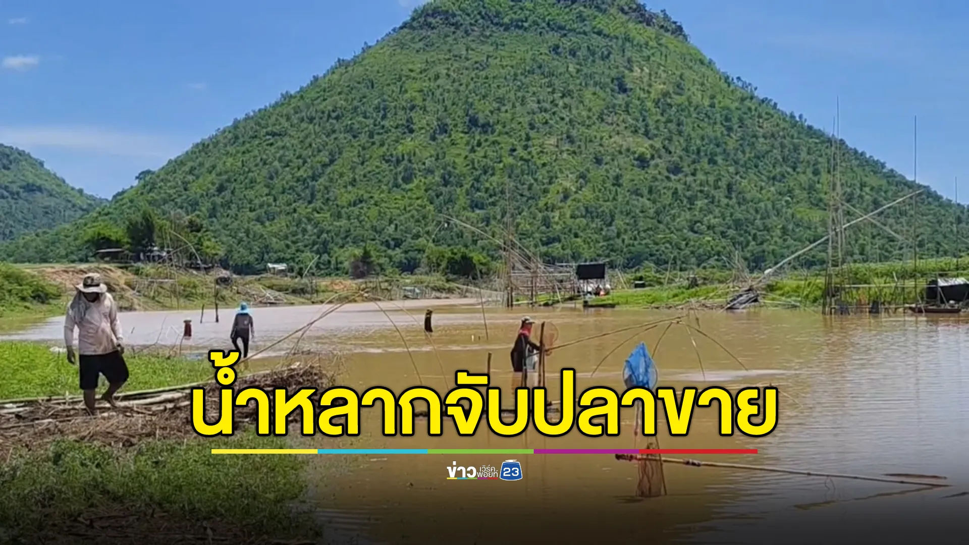 น้ำป่าลำน้ำมูลทะลัก ชาวบ้านแห่จับปลาขายสร้างรายได้เสริม