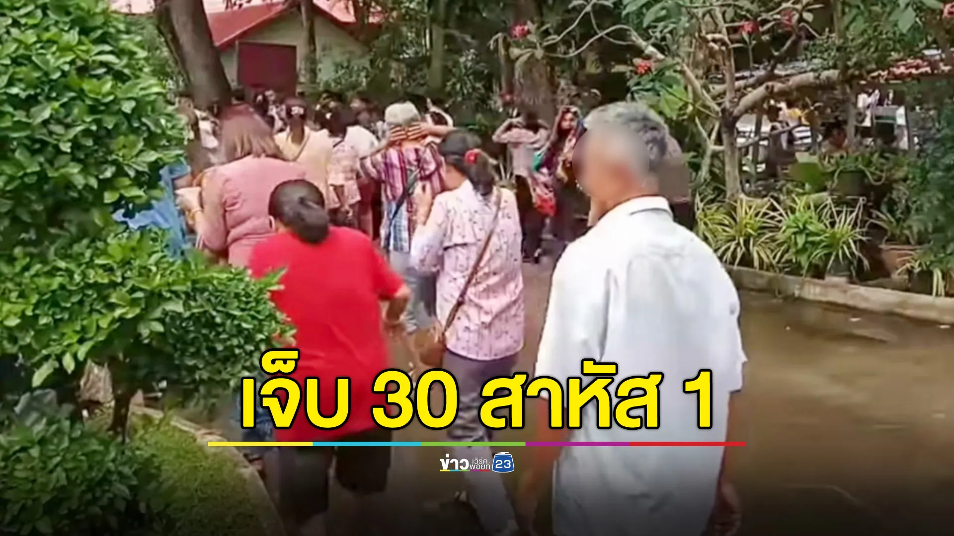 ขบวนแห่นาคกระเจิง ฝูงผึ้งหลวงแตกรังไล่ต่อย บาดเจ็บกว่า 30 ราย สาหัส 1