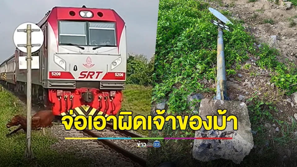 การรถไฟเตรียมแจ้งความเอาผิดเจ้าของม้า 