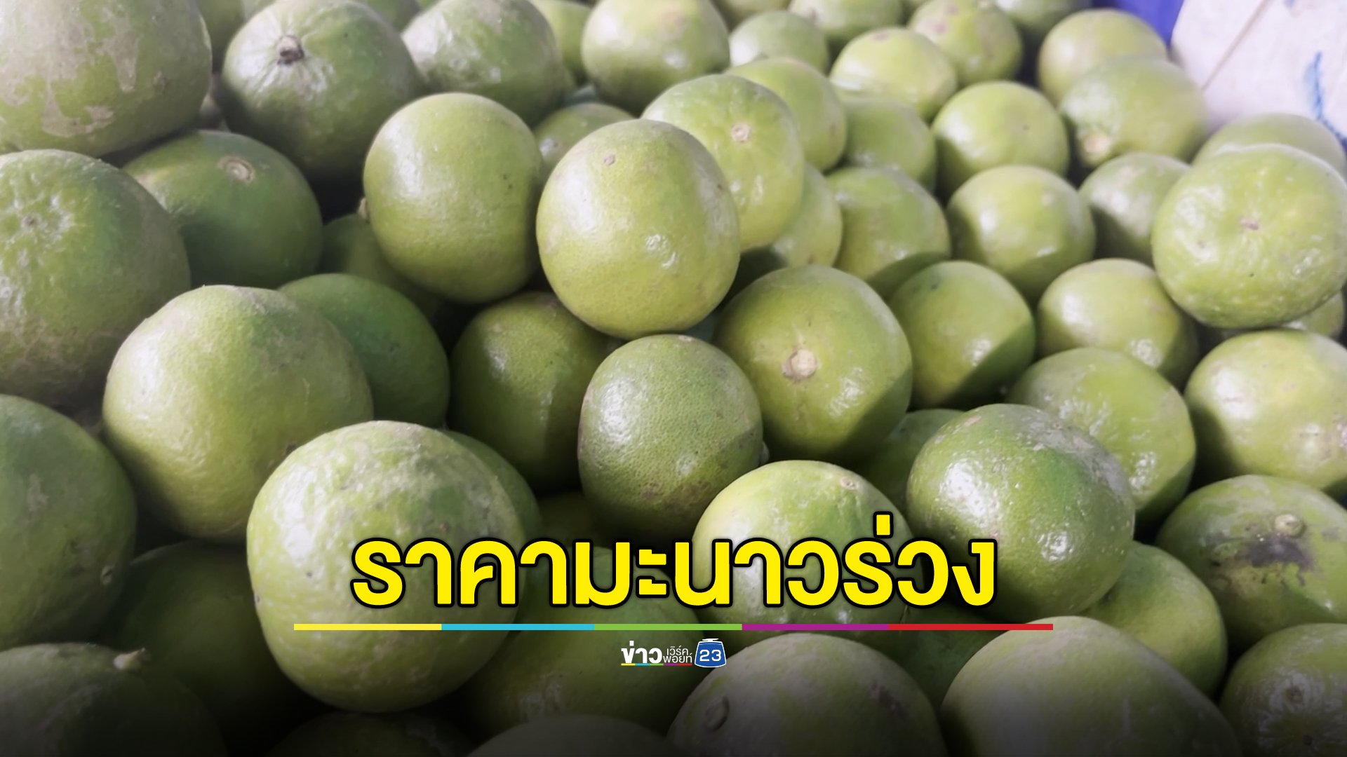 ฤดูฝน"ราคามะนาว"ร่วง ถูกสุดเหลือลูกละ 1 บาท