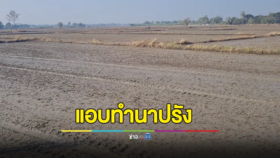 ชาวเมืองโคราชไม่สนคำเตือน สถานการณ์น้ำในอ่างเก็บน้ำทั้งจังหวัดเหลือปริมาณน้อย ยังคงเดินหน้าทำนาปรังกันหลายร้อยไร่