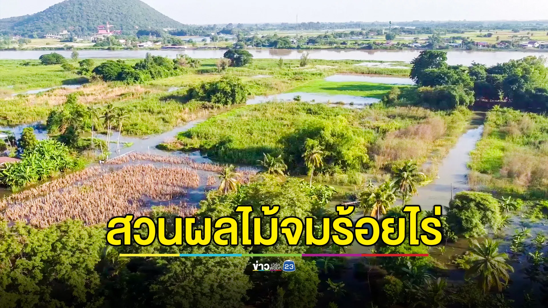 สวนผลไม้จมน้ำเสียหายนับร้อยไร่ ขณะเขื่อนเจ้าพระยาตรึงการระบายน้ำต่อเนื่อง