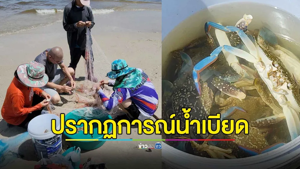 เกิดปรากฏการณ์น้ำเบียดที่หัวหิน ชาวบ้านแห่จับสัตว์ทะเลคึกคัก