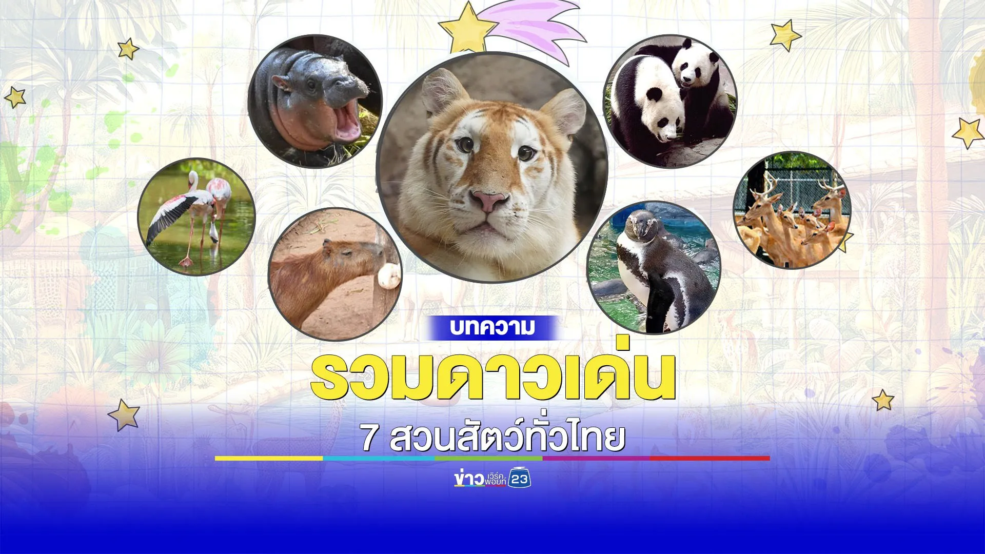 รวมดาวเด่น 7 สวนสัตว์ทั่วไทย