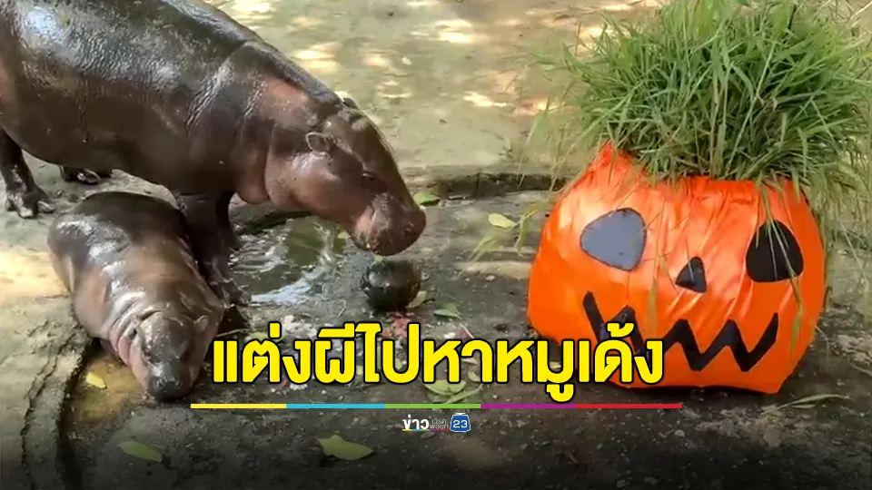 ชวนแต่งผี ไปหาหมูเด้ง  ต้อนรับเทศกาลฮาโลวีน Halloween 2024