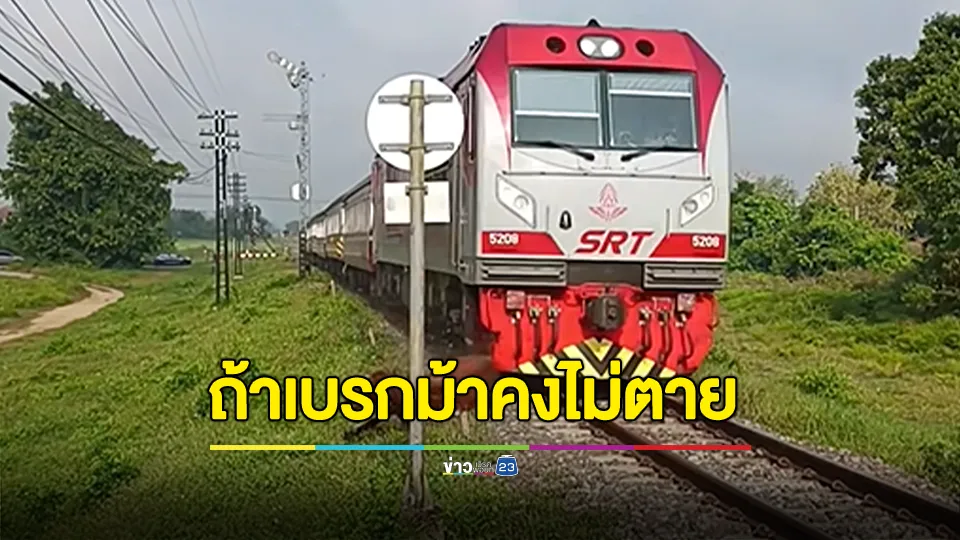 หนุ่มเศร้าม้าเหล็กชนม้าตาย พ้อถ้ารถไฟลดความเร็วลงแล้วชะลอเบรก บีบแตรไล่คงไม่เกิดเหตุการณ์แบบนี้