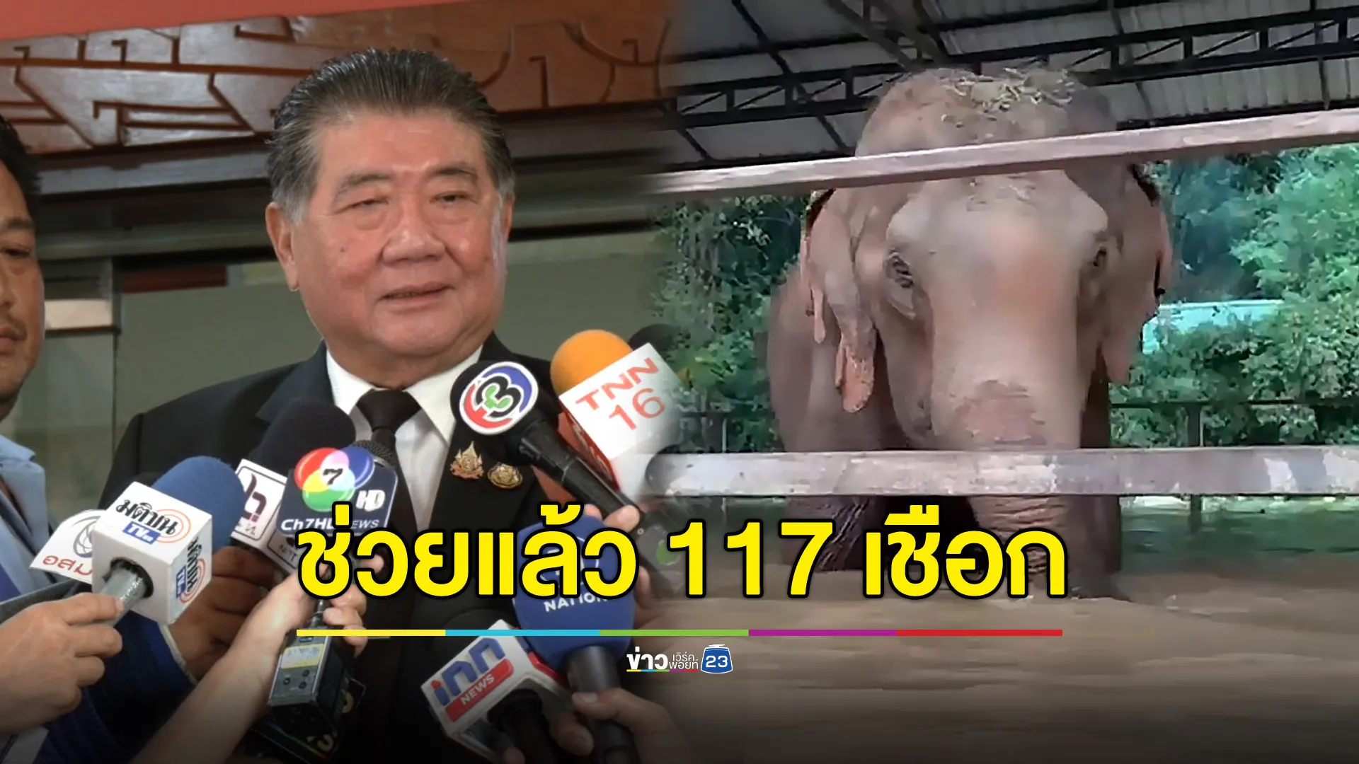 ช่วยช้างแม่แตงแล้ว 117 เชือก เหลืออีก 9 กำลังระดมช่วย