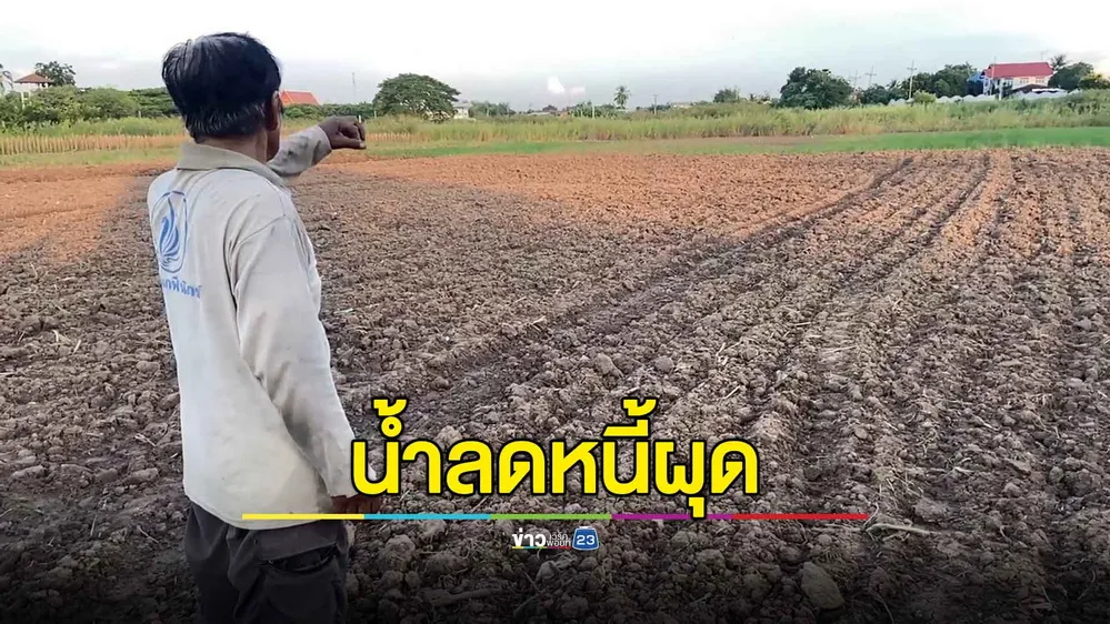 ชาวไร่ชัยนาทโอด ต้องกู้เงินปลูกข้าวโพดใหม่ หลังถูกน้ำท่วมขาดทุนยับ