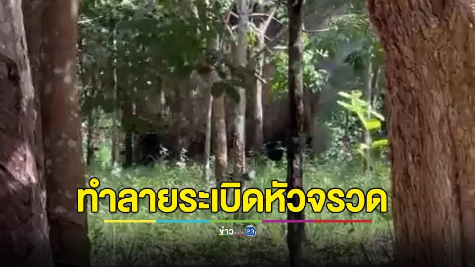 “EOD - ตชด.22” ทำลายระเบิดหัวจรวด PG-7 ใช้ยิงต่อต้านรถถังไทย ตกค้างในสวนยาง