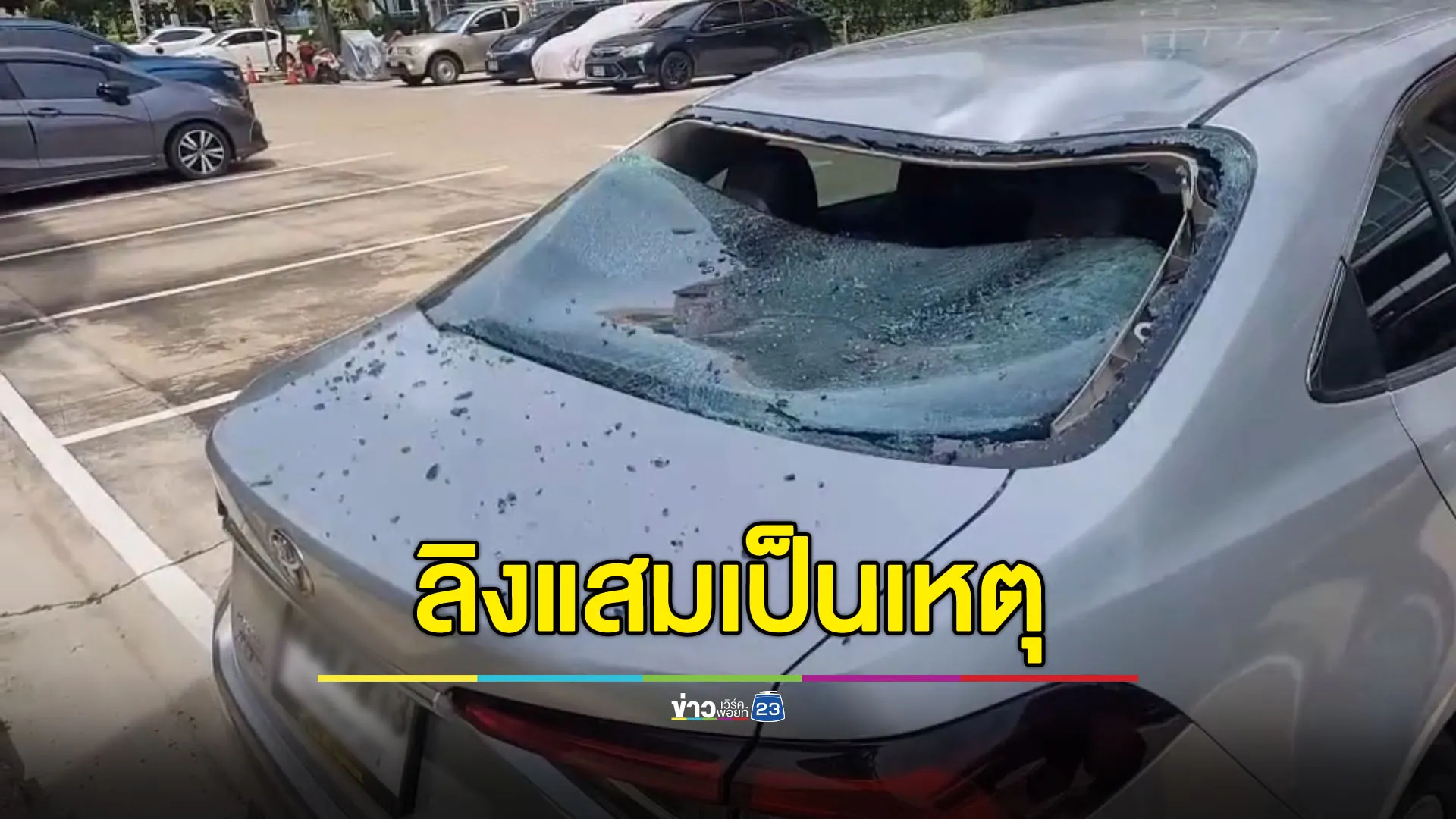 ลิงแสมเป็นเหตุ ไฟดูดตกใส่รถกระจกแตกยับ