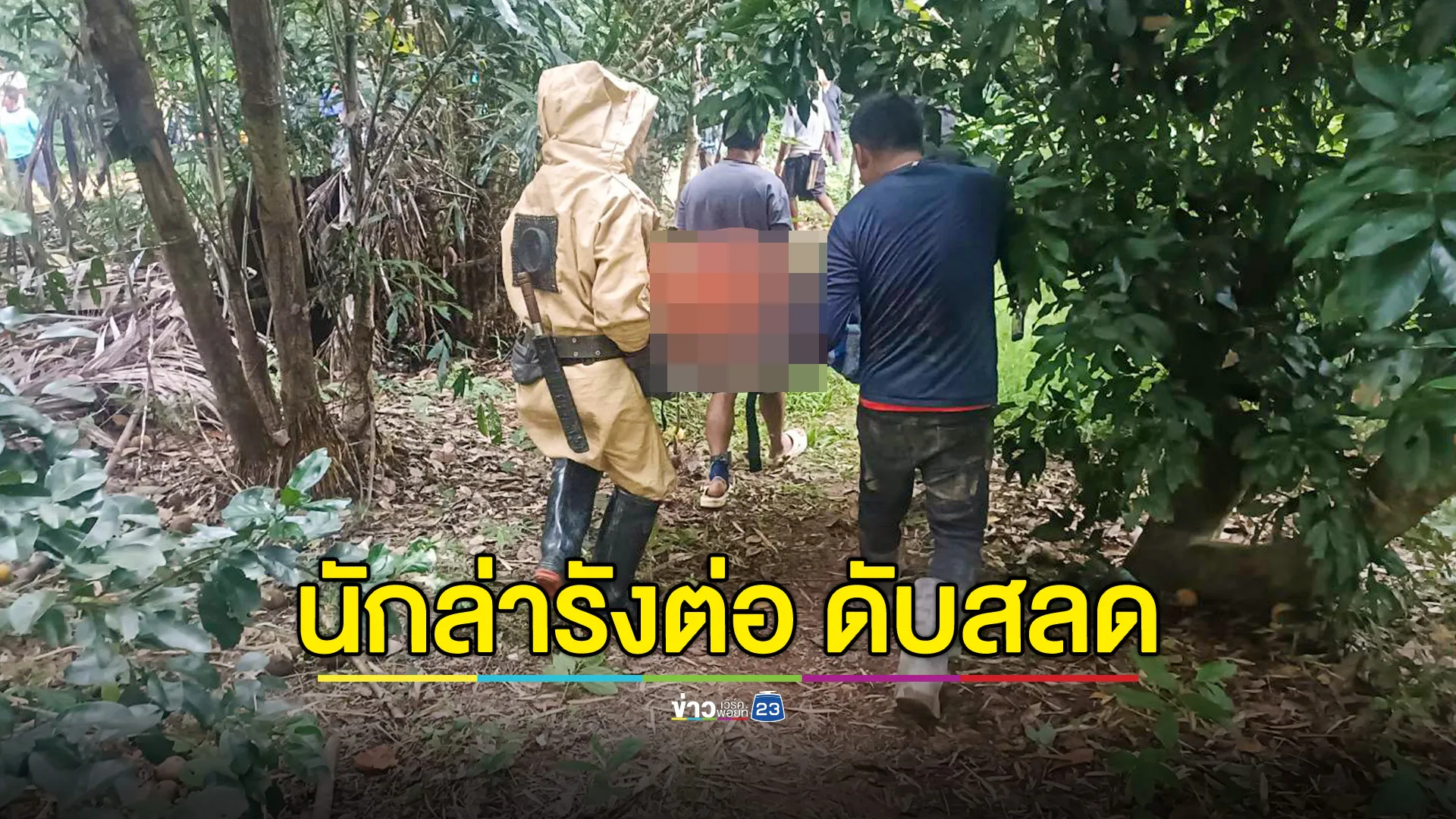 ปีนต้นไม้หารังผึ้ง-รังต่อ พลาดตกต้นไม้ เสียชีวิตอนาถ 