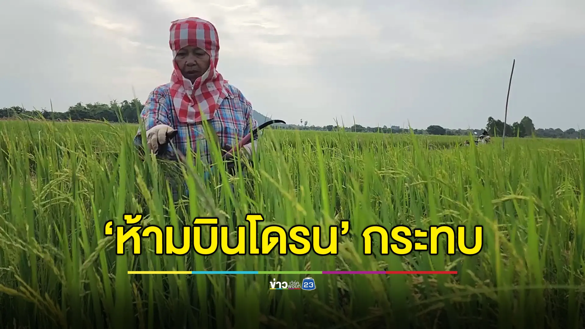 คำสั่งห้ามบินโดรน 17 วัน กระทบ! ชาวนาปรับตัวจ้างแรงงาน
