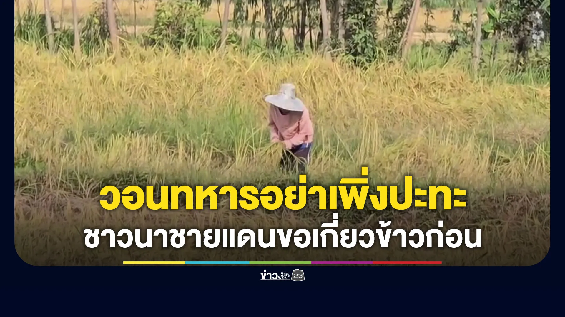 ชาวนาชายแดนวอนทหารอย่าเพิ่งปะทะ ขอเกี่ยวข้าวเสร็จก่อน