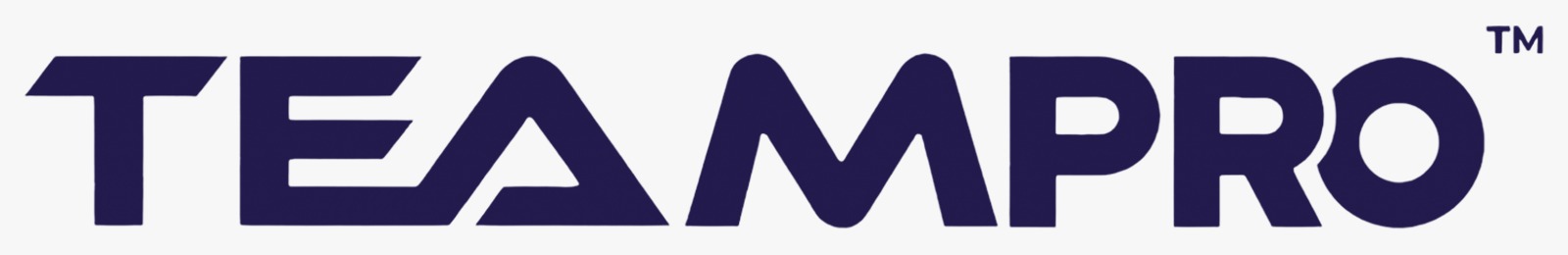 Teampro HR & IT Services logo
