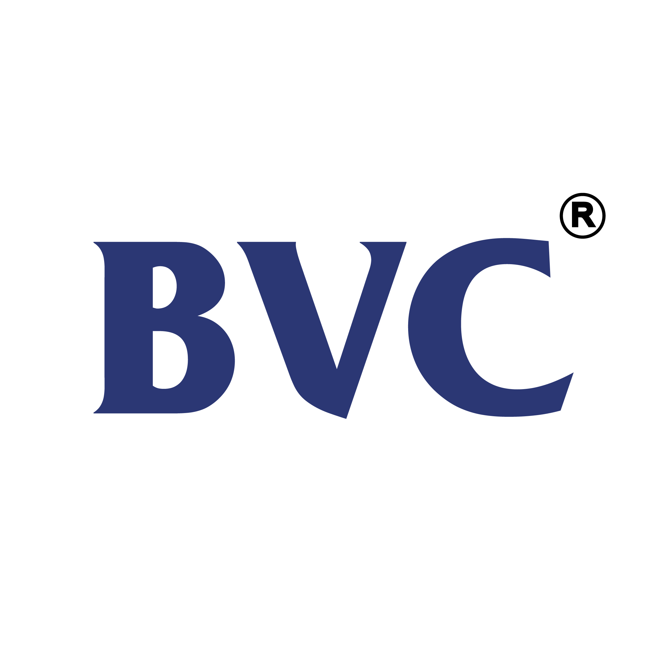 BVC Logistics  logo