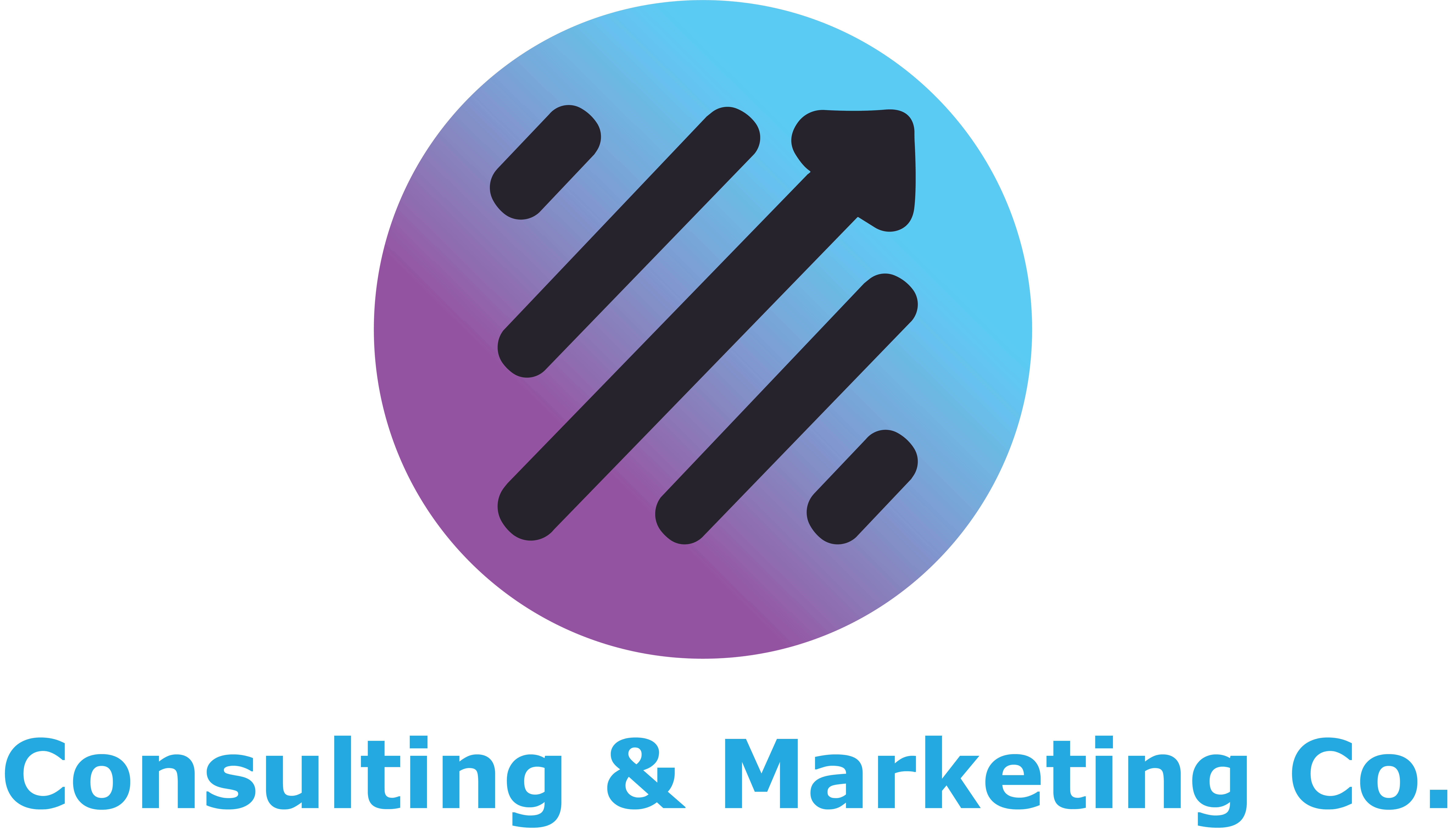 ZYEC Consulting LLP logo