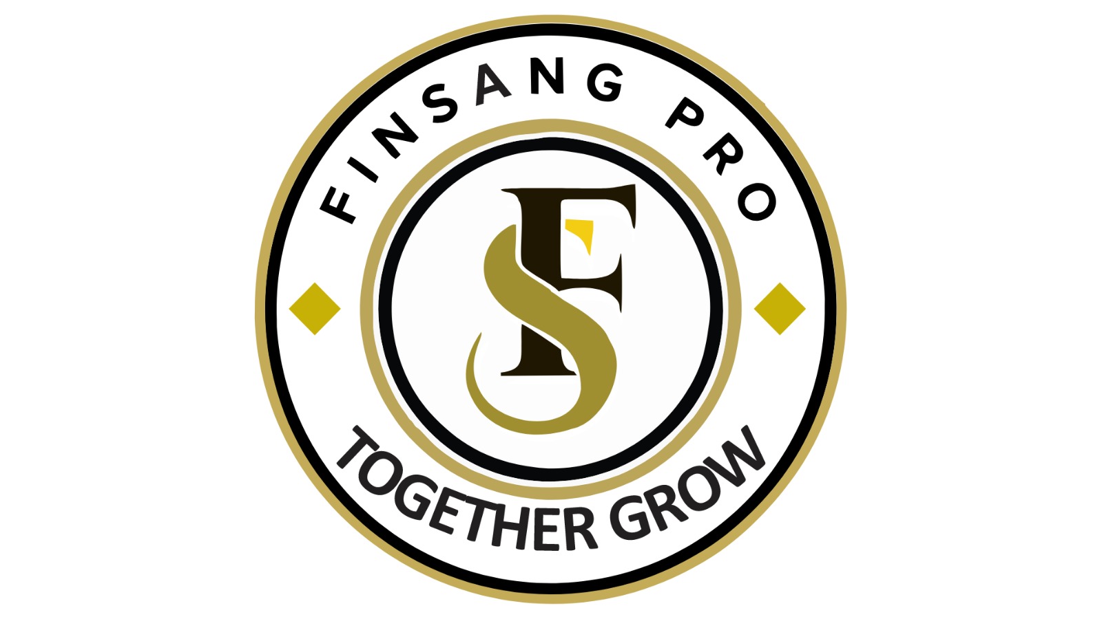 FINSANG INDIA DIGITAL SOLUTION PVT.LTD logo