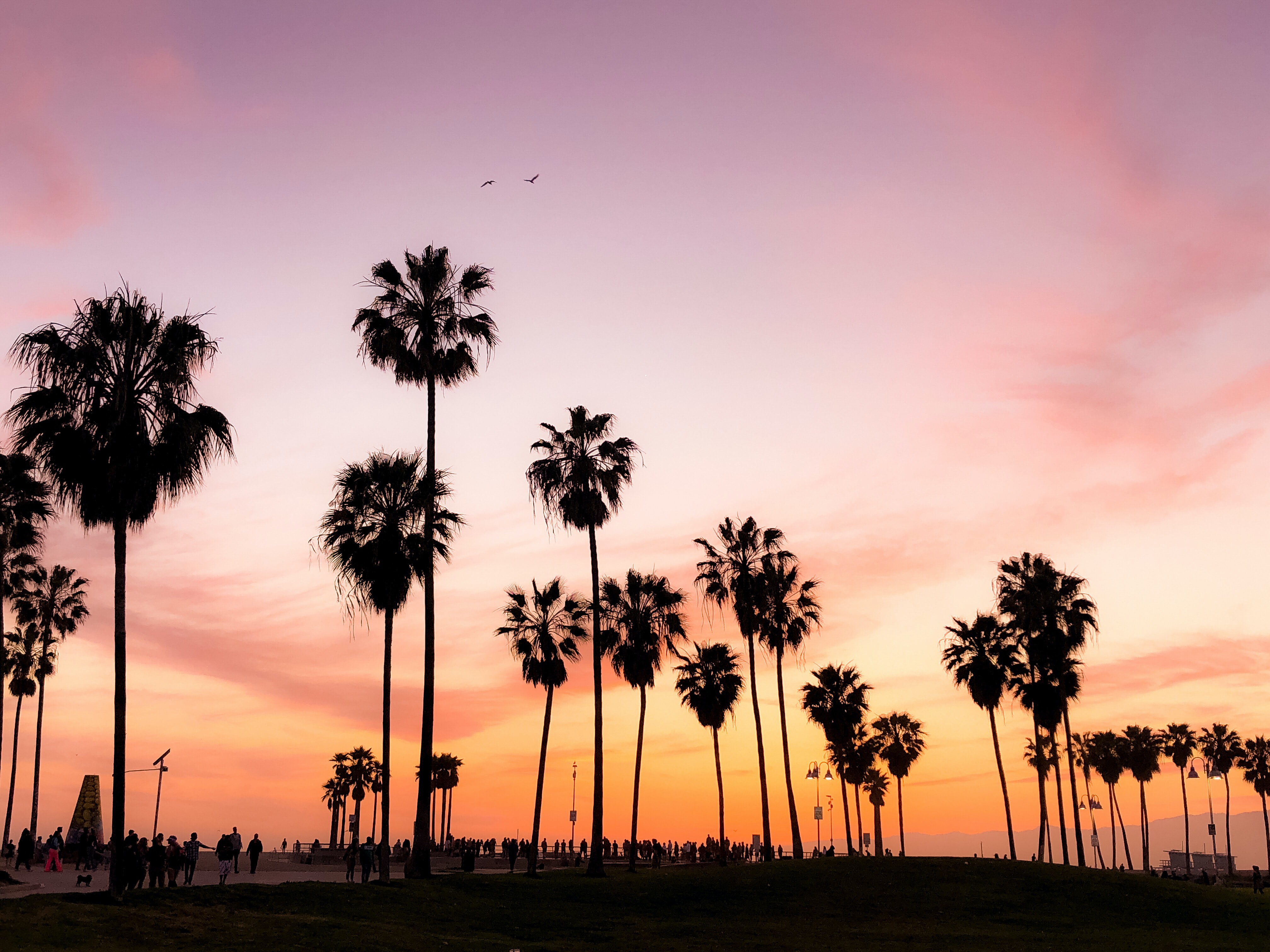Venice Beach, USA