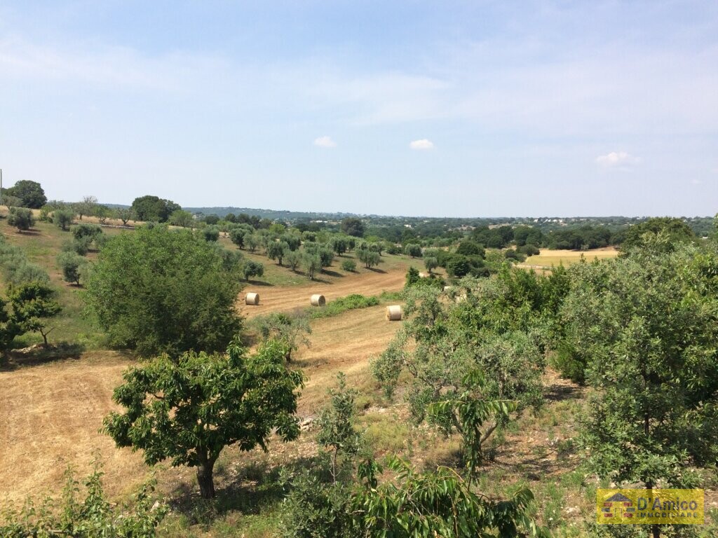 property_image