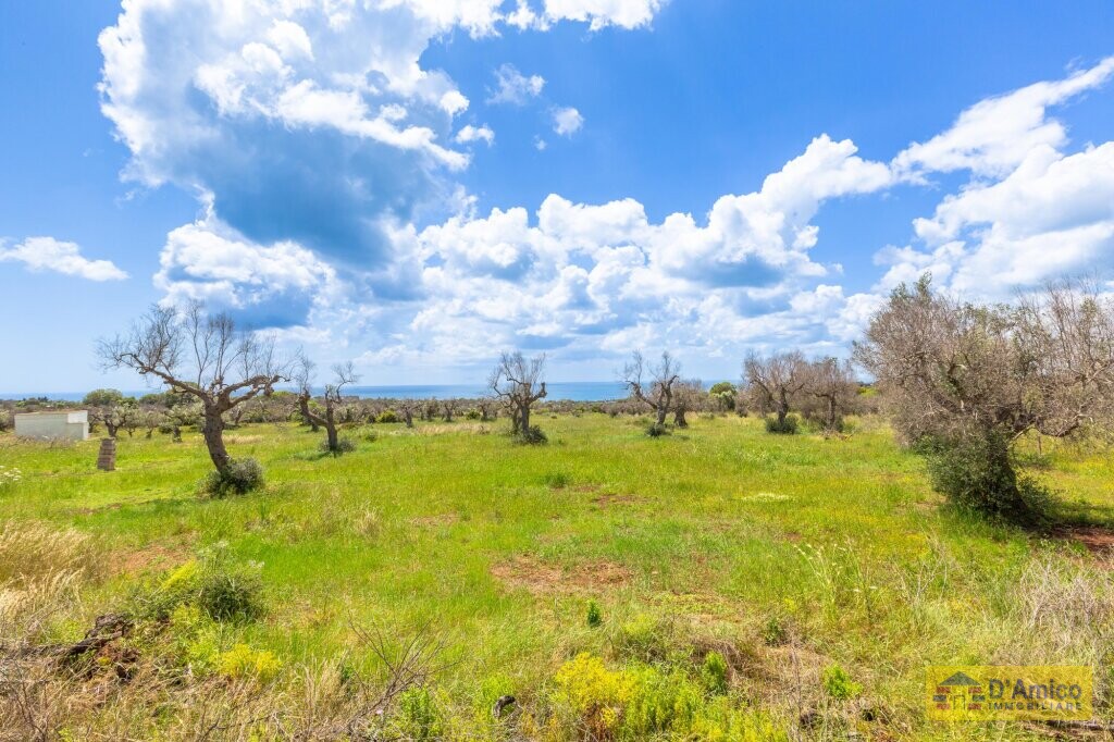 property_image
