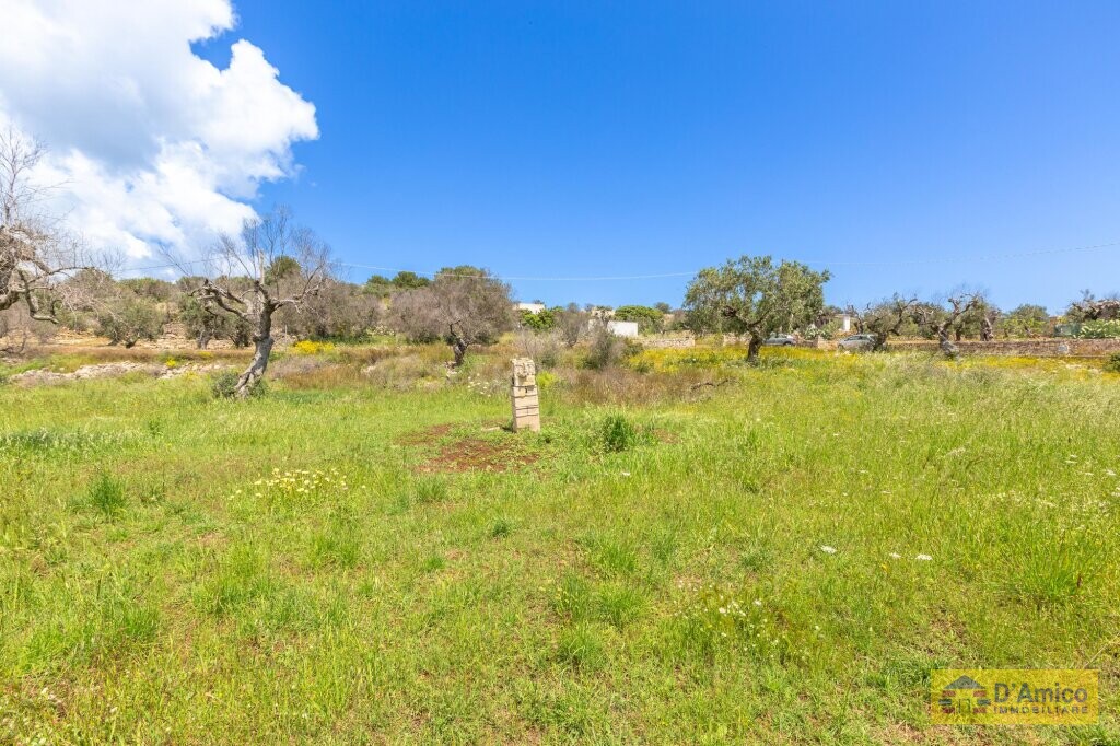 property_image