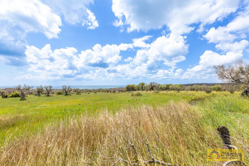 property_image