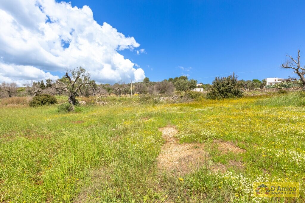 property_image