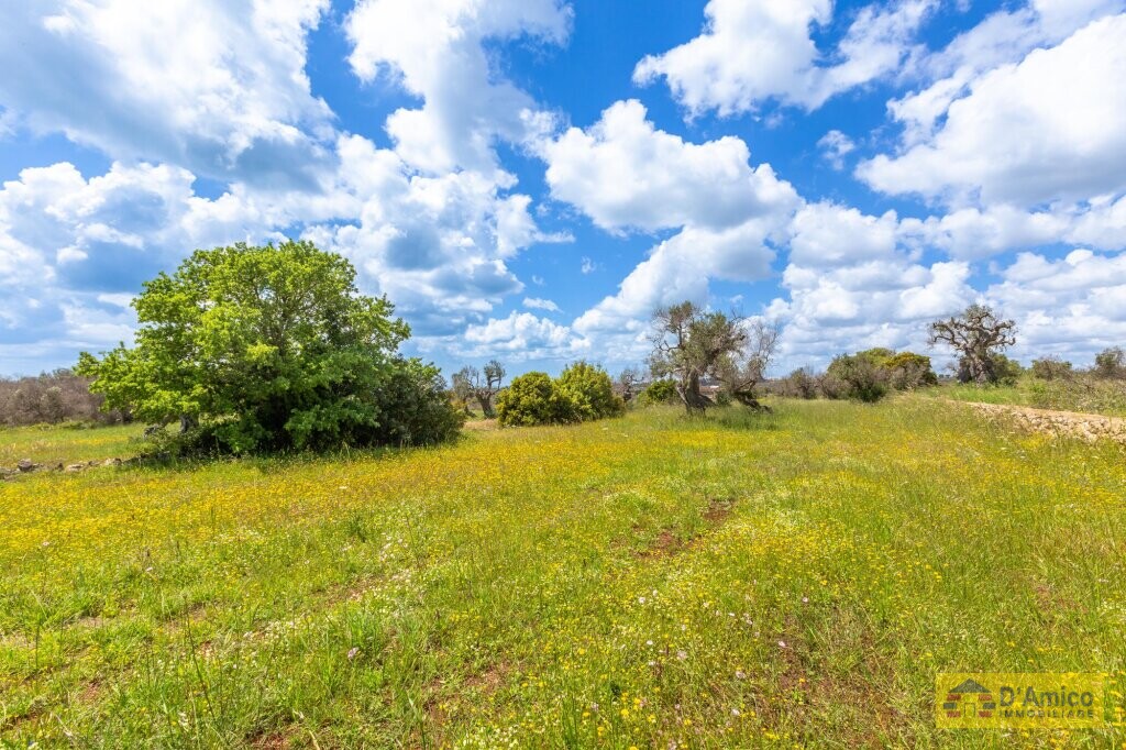 property_image