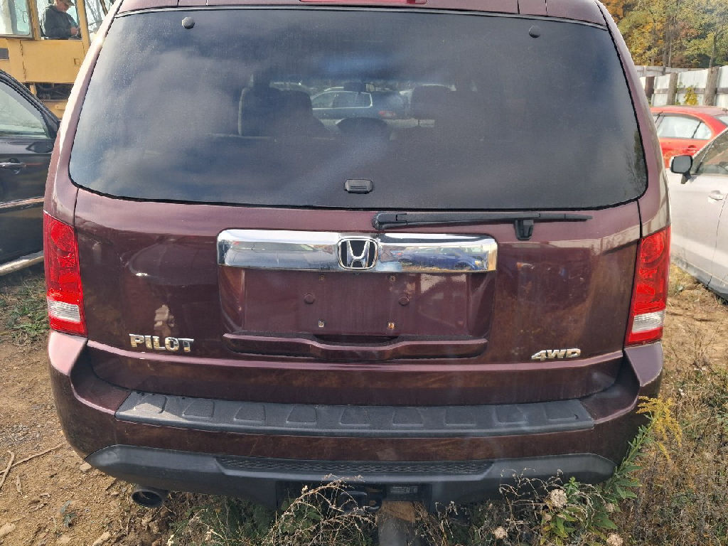 Tail Lamp Ds