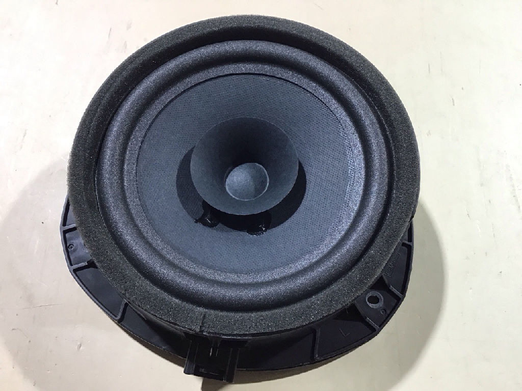 SPEAKER REAR LEFT DOOR