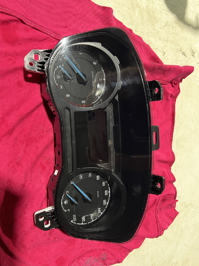 Speedo Cluster photo 2