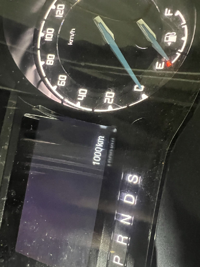 Speedo Cluster photo 4