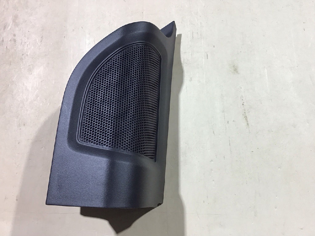 SPEAKER COVER PLUG DOOR RHS