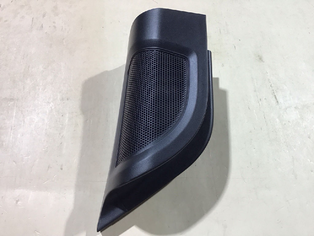 SPEAKER COVER PLUG DOOR RHS photo 5
