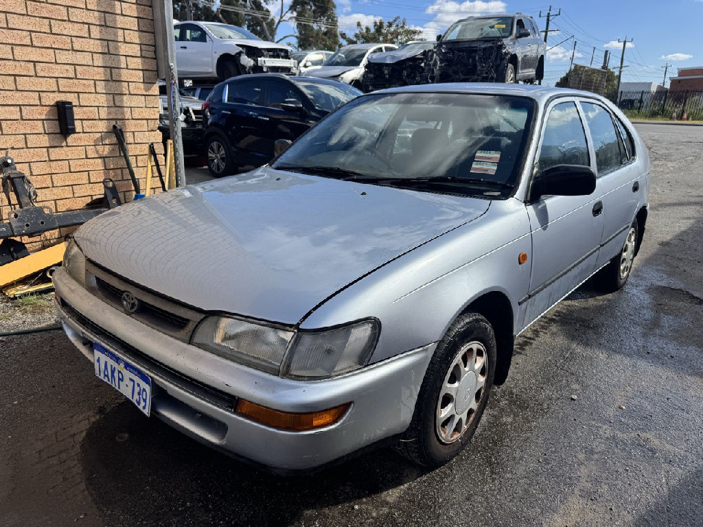 1999 Toyota Corolla photo 3