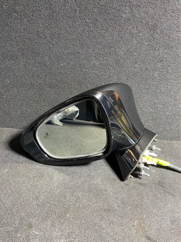 LEFT DOOR MIRROR