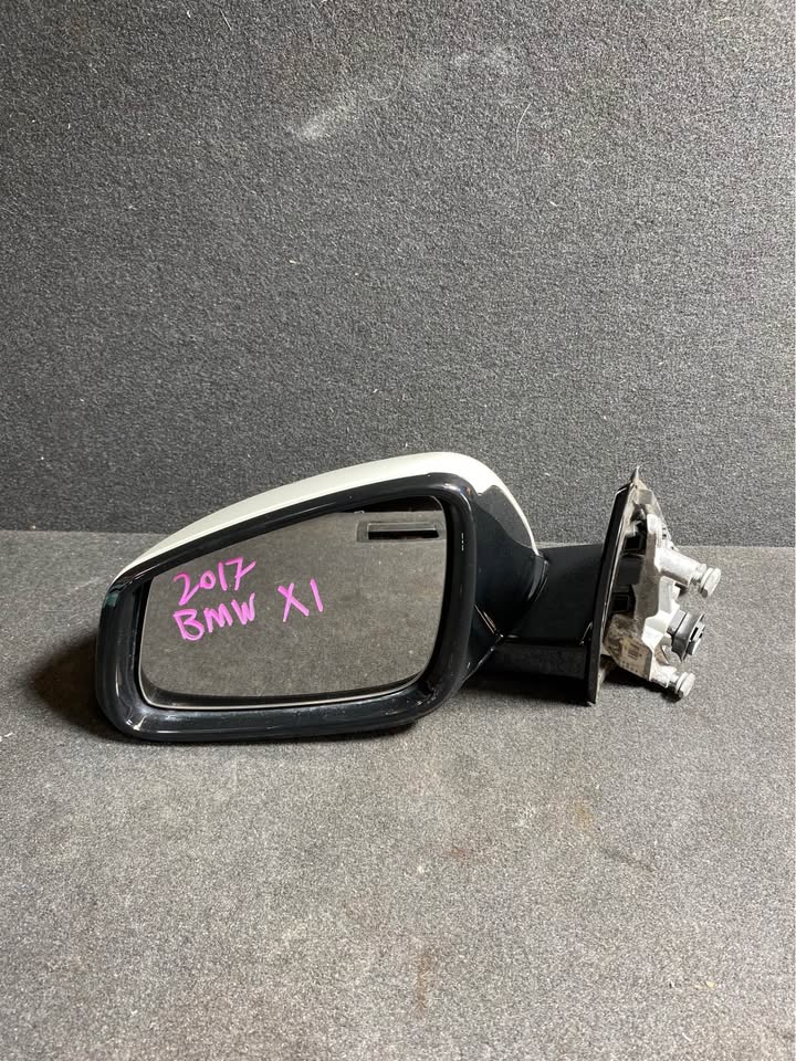 LEFT DOOR MIRROR