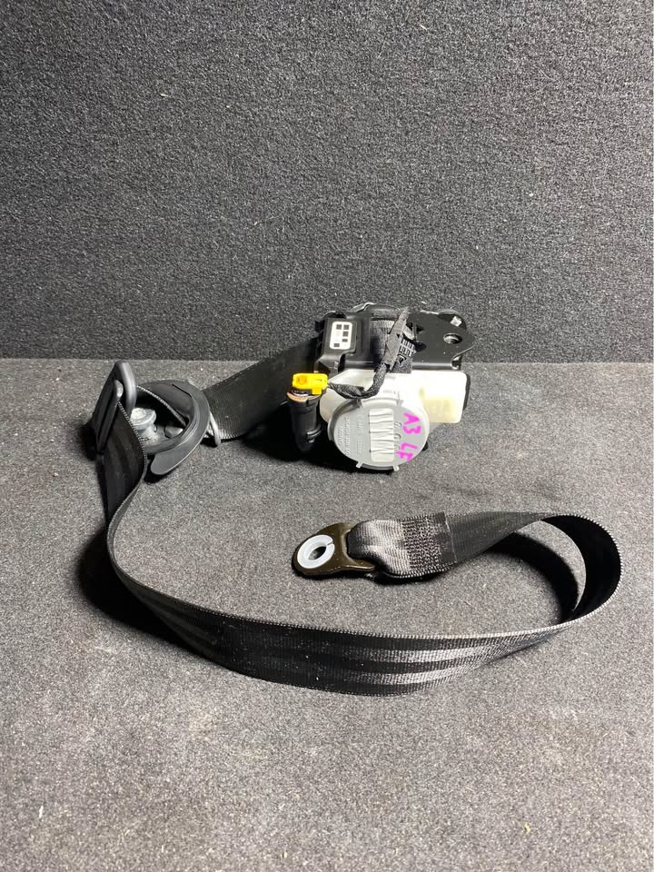 LF SEATBELT