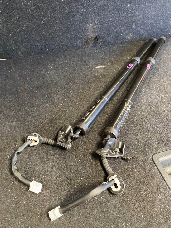 HATCH STRUT