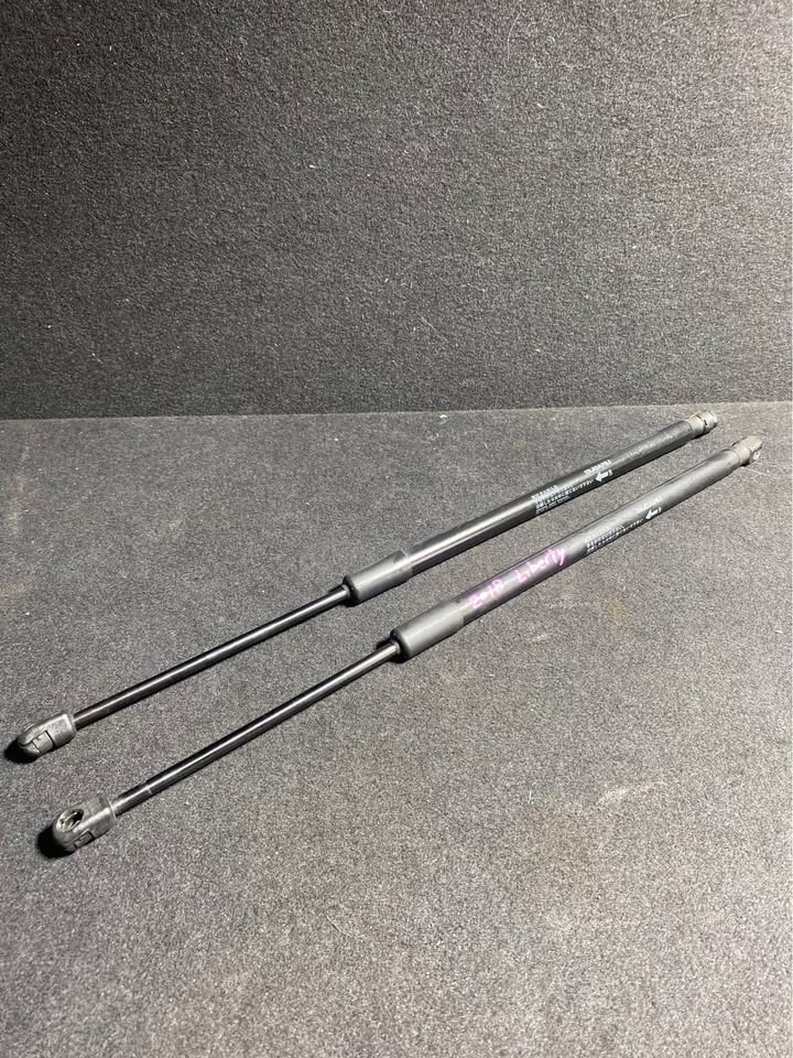 BONNET STRUT