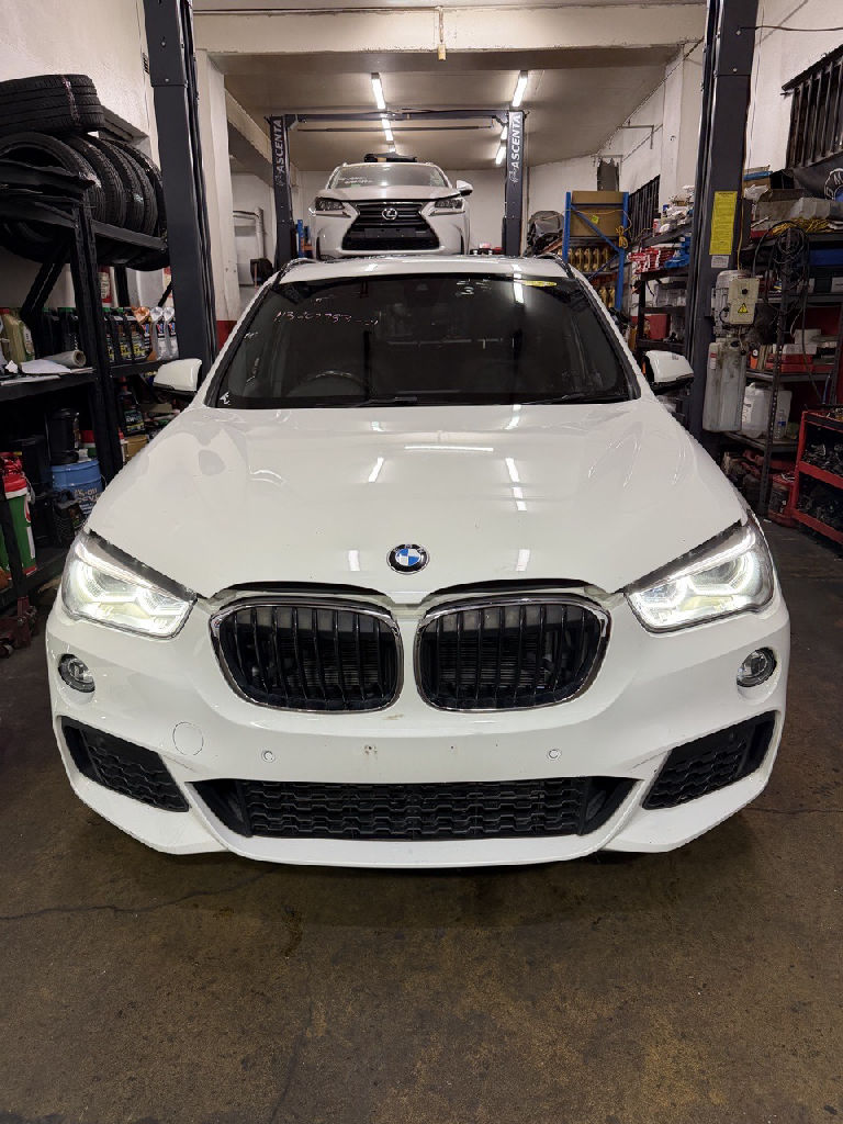 M SPORT 2017 BMW X1 photo 2