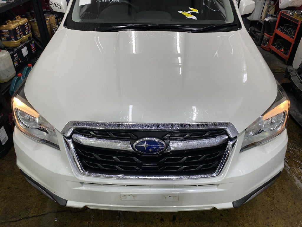 SJ 2016 Subaru Forester photo 3