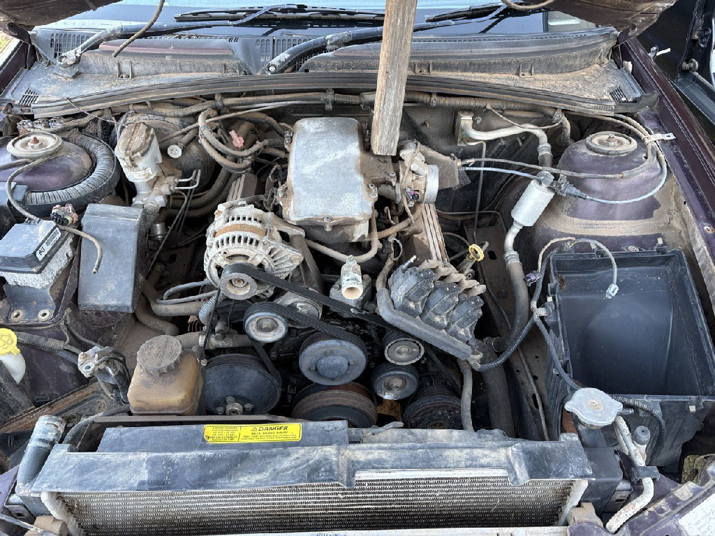 VT 1999 Holden Commodore photo 4