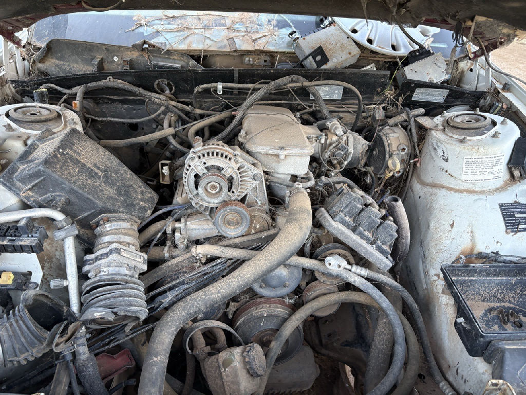 VS 1998 Holden Commodore photo 2