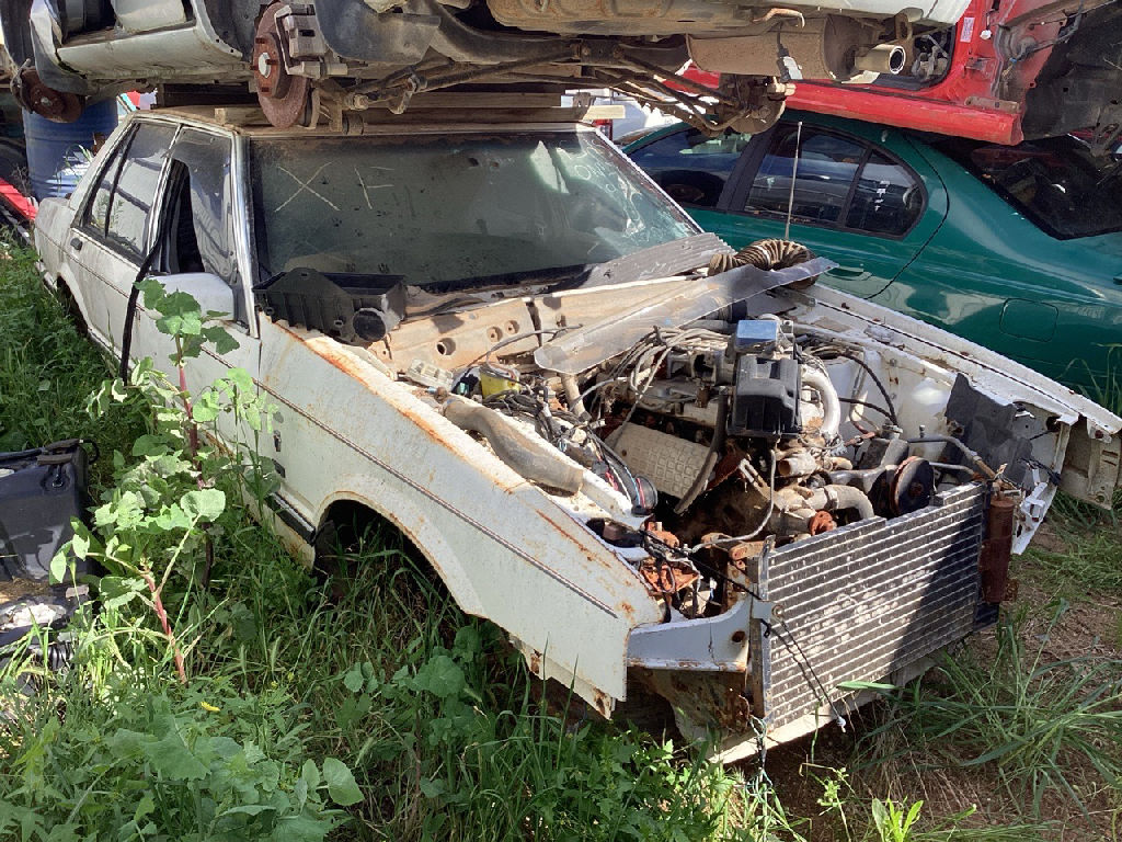 XF 1987 Ford Falcon photo 2
